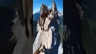 This video is not AI