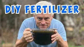 👨&zwj;🌾Fertilizing Garden For FREE-With 1-Year-Old Swamp Water