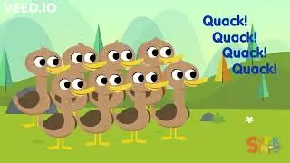 5 Ducks (A YTP of 