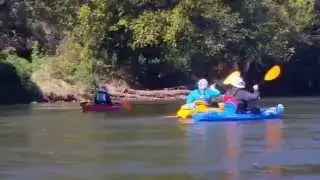 French Broad River - Hominy Creek River Park to Woodfin River Park