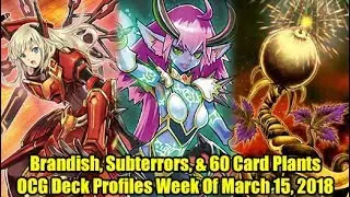 Brandish, Subterrors, & 60 Plants - Yugioh OCG Deck Profiles Week Of March 15, 2018