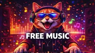 Zenith Rise  [ No Copyright Music ]