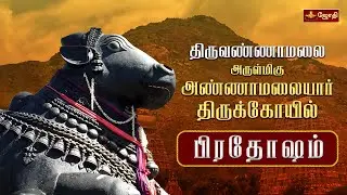 🔴LIVE: திருவண்ணாமலை ஸ்ரீஅருணாச்சலேஸ்வரர் கோயில் | பிரதோஷம் | Pradosham | Nandi Abhishekam | Jothi Tv