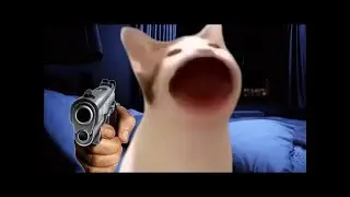 Pop Cat Meme Compilation
