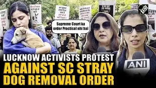 No Dog, No Vote&hellip;&rdquo; SC decision on stray dog removals sparks row, protesters demand reconsideration