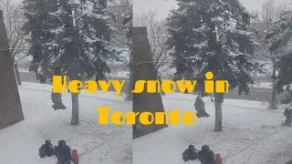 Heavy snow in Toronto Feb. 27,2025 8am