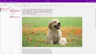 Using and Sharing OneNote Notebooks