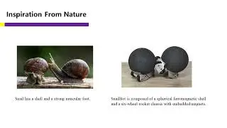 SnailBot: A Continuously Dockable Modular Self-Reconfigurable Robot Using Rocker-Bogie Suspension