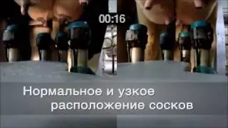 GEA Dairy Farming - Новое поколение MIone