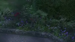 Fox coming for an egg dinner in May
