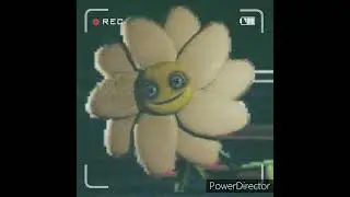 Poppy playtime Daisy Edit #poppyplaytime #poppyplaytimechapter2 #poppy #edit #poppysplaytime