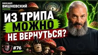 Microdosing, Amanita Mushrooms, and Psychedelic Trips: Benefits, Risks, and Consequences | Mikhai...