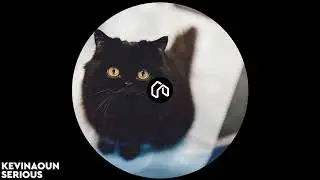 Kevinaoun - Serious [🄷🄾🅄🅂🄴🄽🄾🄼🄸🄲] ✘ ✘ [ѕғ]