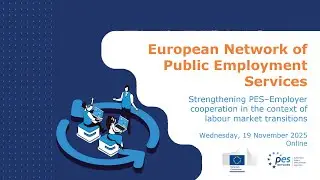 Webinar: 'Strengthening PES&ndash;Employer cooperation in the context of labour market transitions'