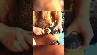 How flintknapping works #flint #science #stonetools #ScienceBreakdown ￼