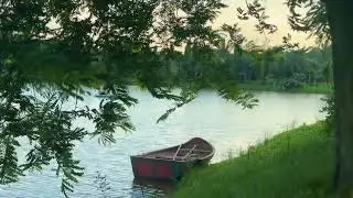 A Perfect Family Day Out at Bangladesh Nature Study Park | Free Rides for Kids!