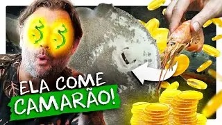 MAIS CARO QUE UM CARRO! UM AQUÁRIO DE R$66.000! | RICHARD RASMUSSEN