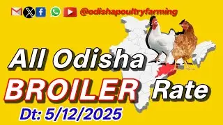 #TodayChaickenRate || #ChickenRate || #todaybroilerrate || #ajirachickenrate ||  Dt-5/12/2025