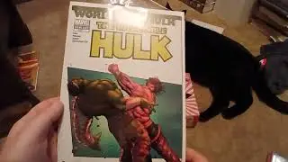 Back Issue Bin Pickups Drom Rupp's Comics 33rd  Annual Midnight Sale With Kit Kat