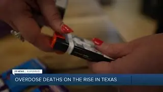 As Texas sees surge in overdose deaths, local organization reaches out to drug users