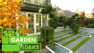 How to Add Interest to Your Garden Using Buxus Balls | GARDEN | Great Home Ideas