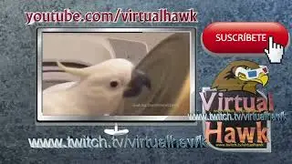 LOS MEJORES VIDEOS Y UNBOXING CON VIRTUALHAWK 🎮👌😊