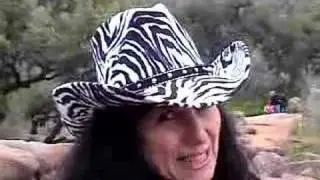 How many zebras die