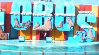 Aquarium Mar del Plata. Show de Lobos
