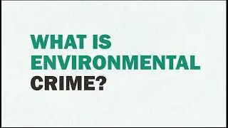 What is environmental crime?