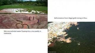 Envs2004: Environmental impacts of illegal gold mining