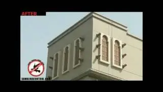 SBM Bird Control Bird Spikes, Bird Netting, Bird Wire, Dubai, UAE