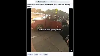 [USA] Driver collides with tree, acts like it's no big thing.