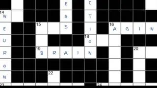 Crossword puzzles beat computer video games in slowing memory loss