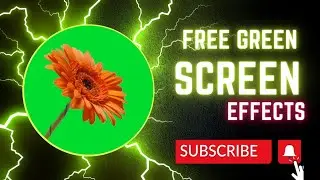 Green Screen Flower Video| Free Green Screen Effects