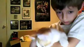 KittenCop