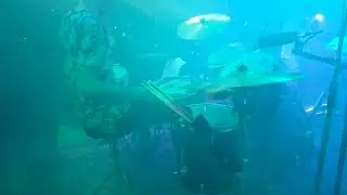 Grupo Mardane - La Cerveza