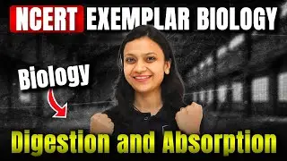 Digestion and absorption | NCERT Exemplar class 11 mcq | #ncertexemplar #neet #neet2023 #neet2024