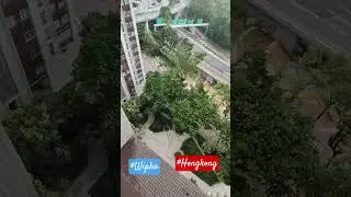 #Wipha #typhoon #typhoonwipha #hurricanes #storm #hongkong #liveweather #hongkongweather #windy