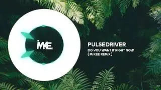 Pulsedriver - Do You Want It Right Now ( Mikee Remix )