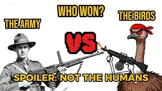 The Great Emu War: 10,000 Bullets vs 20,000 Birds