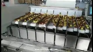 Automatic small fruit apple date linear weighing filling tray box packing machine