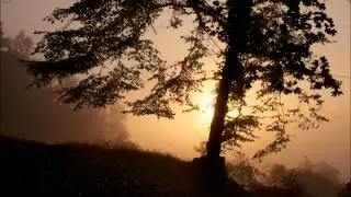 Best Celtic Music Mix 2014, New Beautiful Irish Instrumental Music, Medieval Music Mix #10