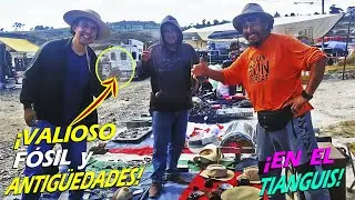 ¡Encuentro VALIOSO FÓSIL, 🦕 Juguetes y Antigüedades entre las Chácharas del Tianguis!