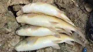 شرایط سخت ماهی گیری لطفا تا اخر ببینید👍👍😳
