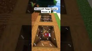 Minecraft Taiga Starter House #minecraft #shorts #minecraftbuilding #gaming #relax #buildingsideas