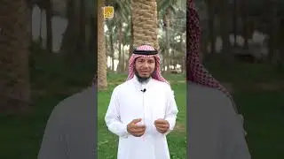 #لايف_الدرعية المزارع في الدرعية وتعديل النخيل في الدرعية