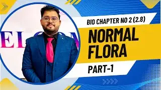 Normal Flora (Human Microbiota) &ndash; Functions, Examples & Importance