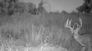 Setting up my DEER LEASE for 2025! 