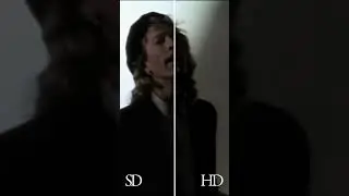 New Bee Gees Videos #shorts