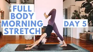 Full Body Yoga Stretch: Morning Yoga Practice To Wake Up | DAY 5 ~ Morning Yoga Challenge